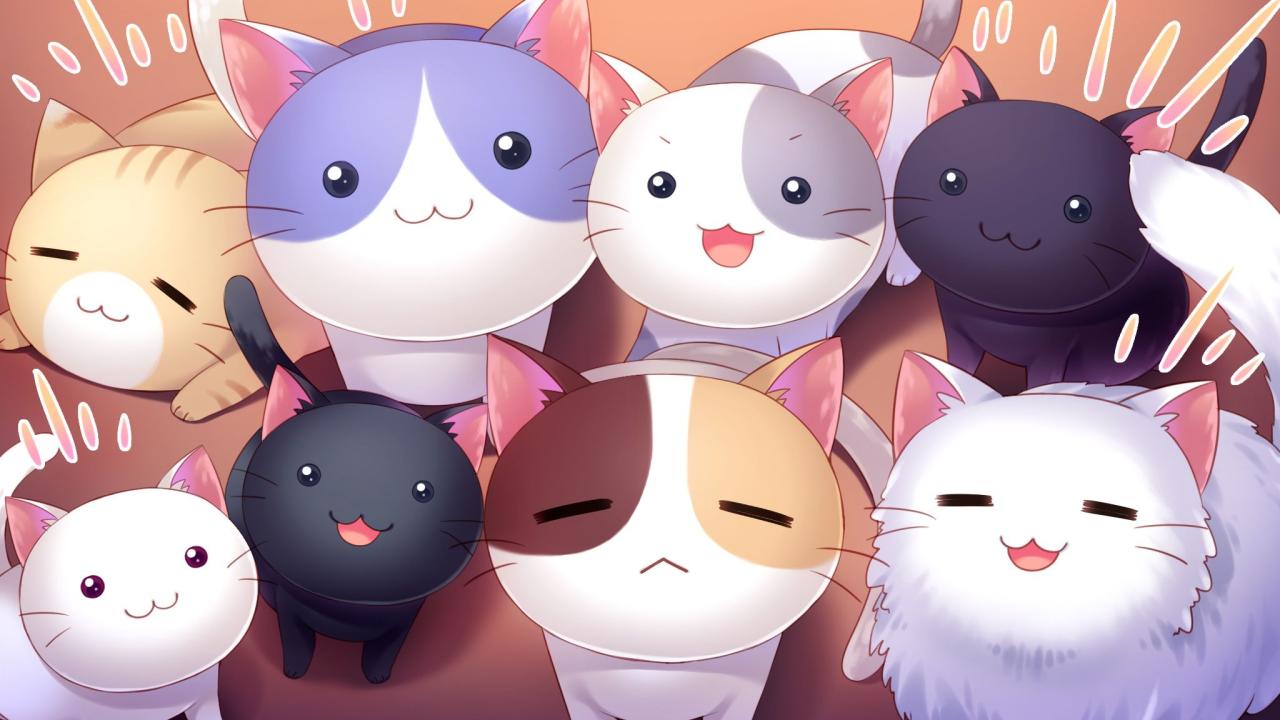 2048x1152 Kawaii Cat Wallpaper