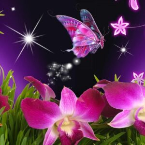 Free Butterfly Wallpapers Download Wallpapers Idol 2880x1800