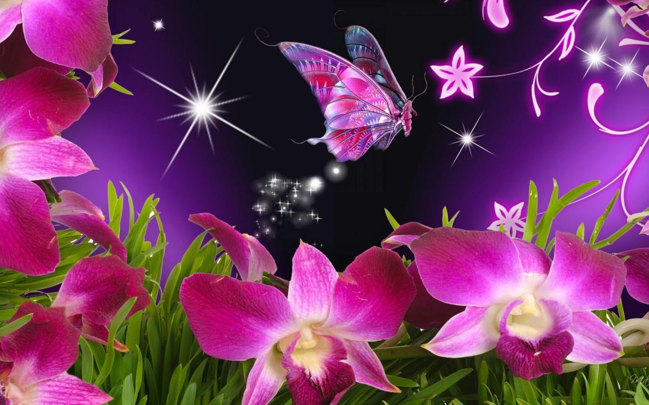 Free Butterfly Wallpapers Download Wallpapers Idol 2880x1800