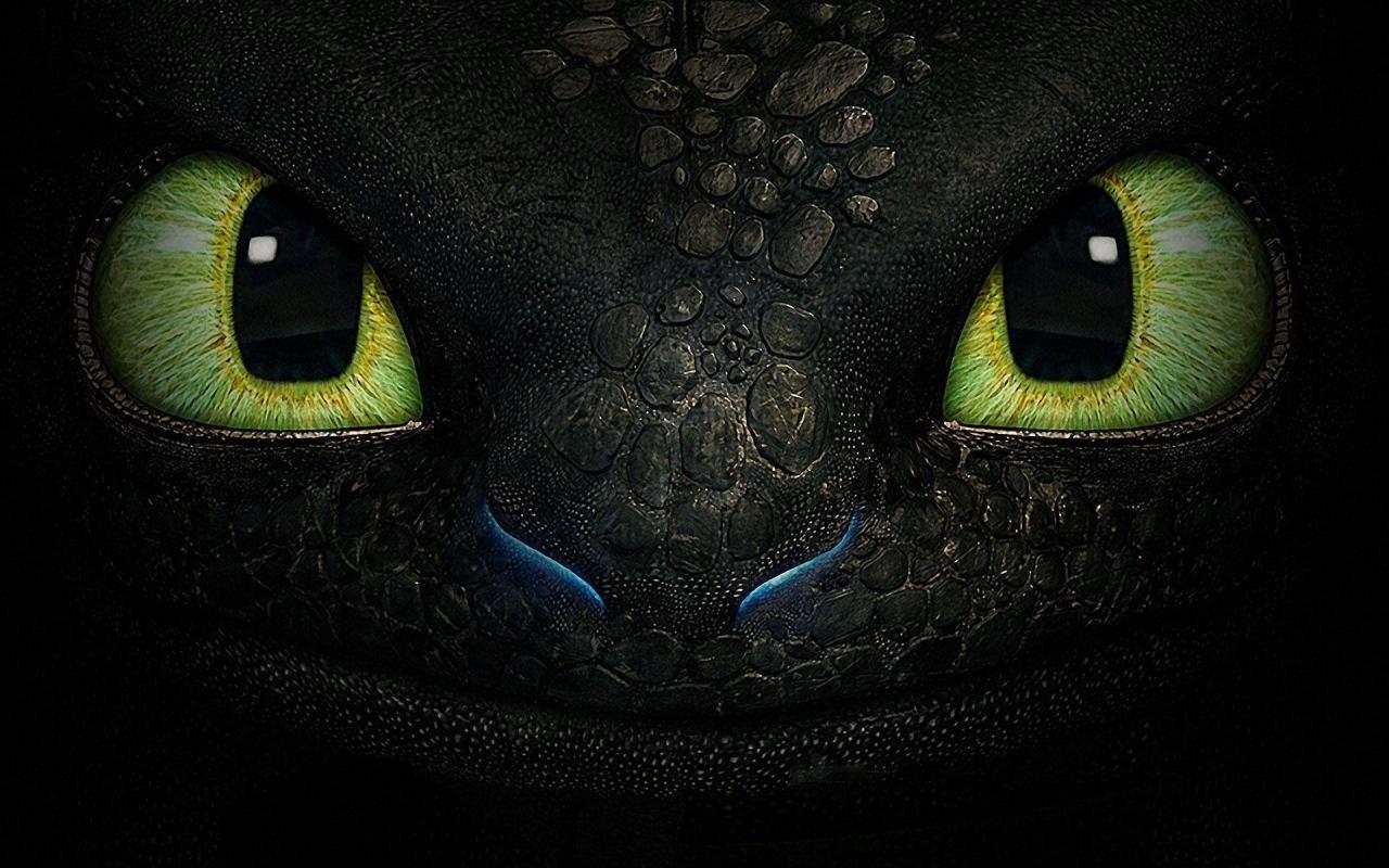 How To Train Your Dragon 2 Wallpaper Hd Collection 1920x1200