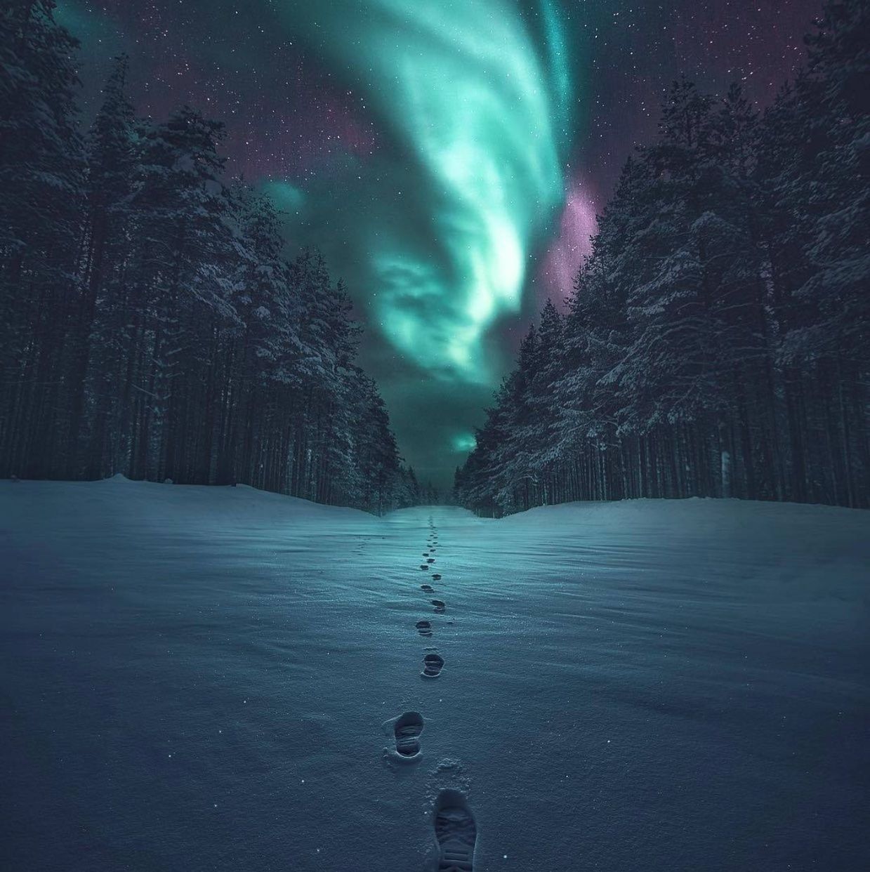 1239x1242 Off The Beaten Path In Finland Pics Iphone Wallpaper Sky Landscape Wallpaper Winter Wallpaper